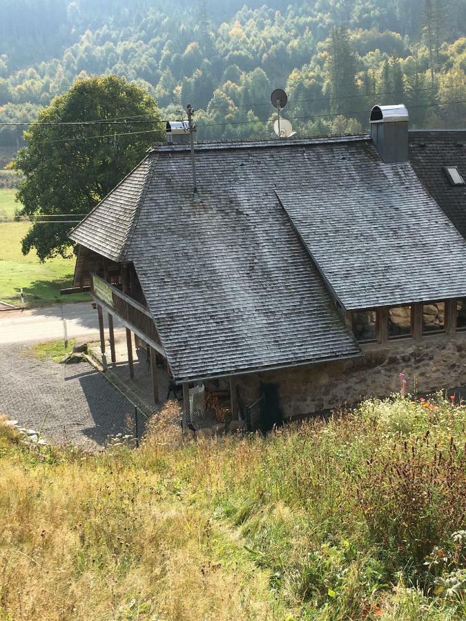 Romantisches Schwarzwaldhaus Aule Luaran gambar